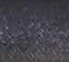 Steyr 008 Swatch image for Steyr 008